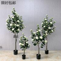 uploads/erp/collection/images/Home Garden/dgjiawang/XU0612679/img_b/XU0612679_img_b_2
